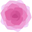 Peony icon 64x64
