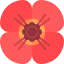 Poppy icon 64x64