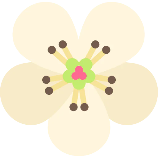 Pear icon