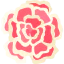 Carnation icon 64x64