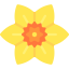 Daffodil icon 64x64