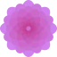 Dahlia icon 64x64