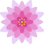Lotus icon 64x64