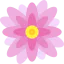 Nymphea icon 64x64