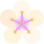 Almond icon 64x64