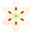 Lily icon 64x64
