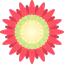 Protea icon 64x64