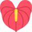 Anthurium icon 64x64