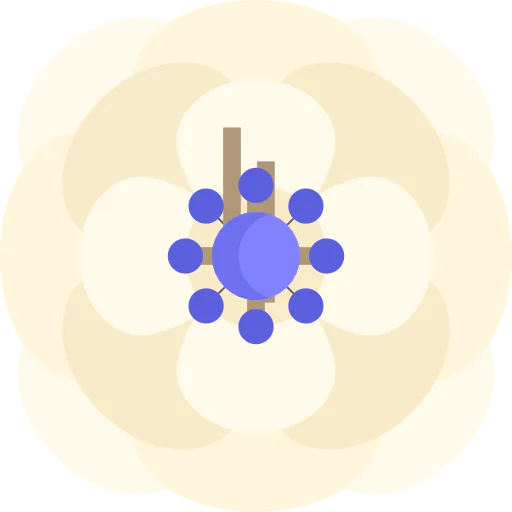 Anemone icon