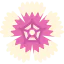 Dianthus icon 64x64