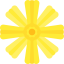 Wedelia icon 64x64