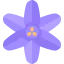 Bluebell icon 64x64