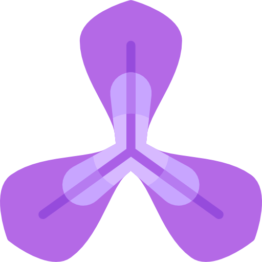 Iris icon