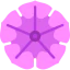 Petunia icon 64x64