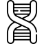 Dna structure biểu tượng 64x64