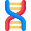 Dna structure biểu tượng 64x64
