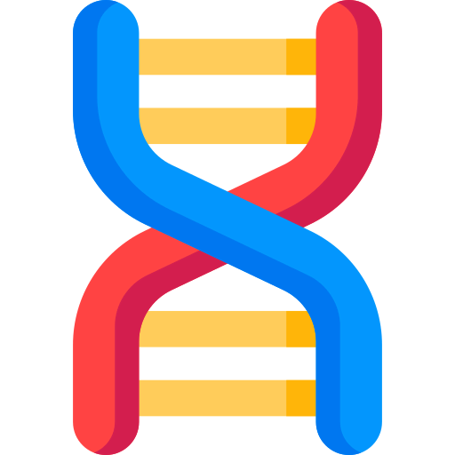 Dna structure icon