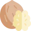 Nut icon 64x64