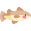 Cod icon 64x64