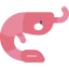 Shrimp icon 64x64