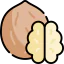 Nut 图标 64x64