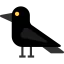 Crow icon 64x64