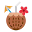 Coconut 图标 64x64