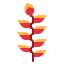 Orchid іконка 64x64