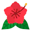 Hibiscus іконка 64x64