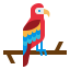 Macaw іконка 64x64