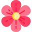 Flower 图标 64x64