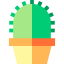 Кактус иконка 64x64