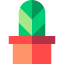 Кактус иконка 64x64