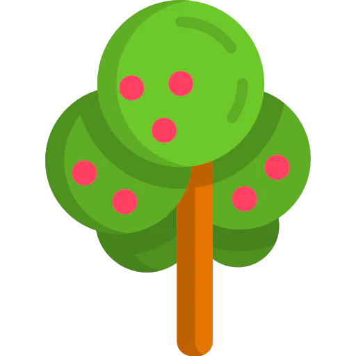 Tree 상