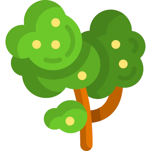 Tree 상