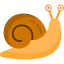 Snail 图标 64x64
