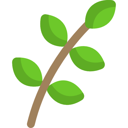 Branch 상