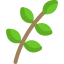 Branch 图标 64x64