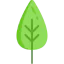 Leaf 图标 64x64