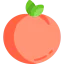 Apricot 图标 64x64