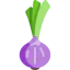 Onion 图标 64x64