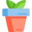 Plant 图标 64x64