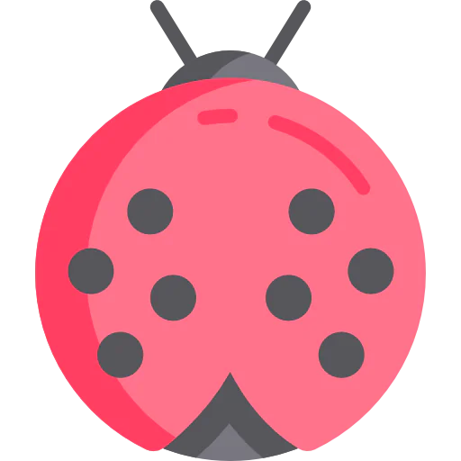 Ladybug 상