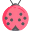 Ladybug 图标 64x64