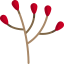 Branch 图标 64x64
