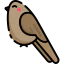 Bird アイコン 64x64