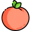 Apricot icon 64x64