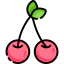 Cherries アイコン 64x64
