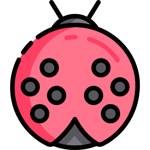Ladybug icon