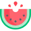 Watermelon icon 64x64